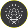 Hopfly Brewing Co.