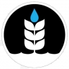 Pure Project Brewing