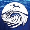 Saltwater Brewery