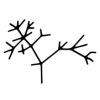 Speciation Artisan Ales