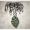 Willow Park Brewing